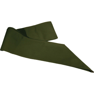 Scouts BSA Merit Badge 40", worn by Scouts BSA members to display merit badges