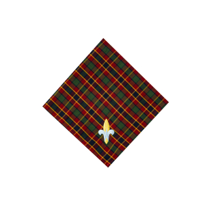 Cub Scout Webelos Rank Neckerchief