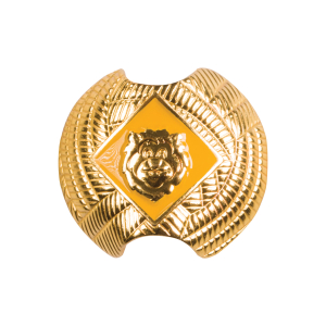 Cub Scout Lion Rank Neckerchief Slide featuring Lion head inside a yellow diamond on a gold metal slide